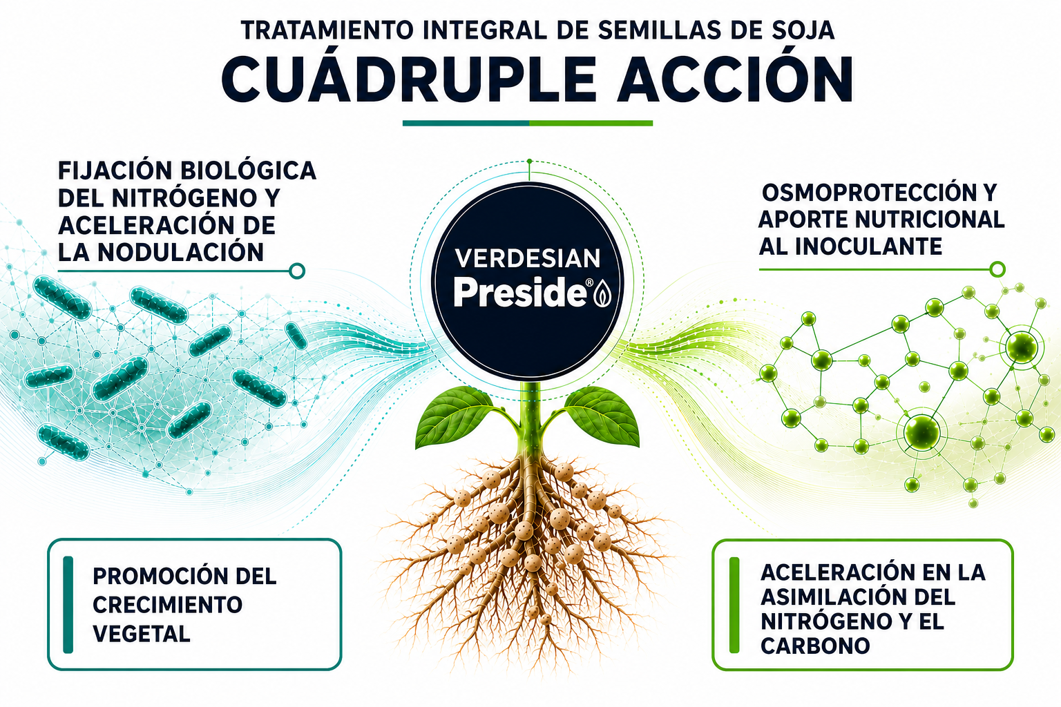 Cuádruple acción de Preside: fijación biológica, osmoprotección, crecimiento y asimilación
