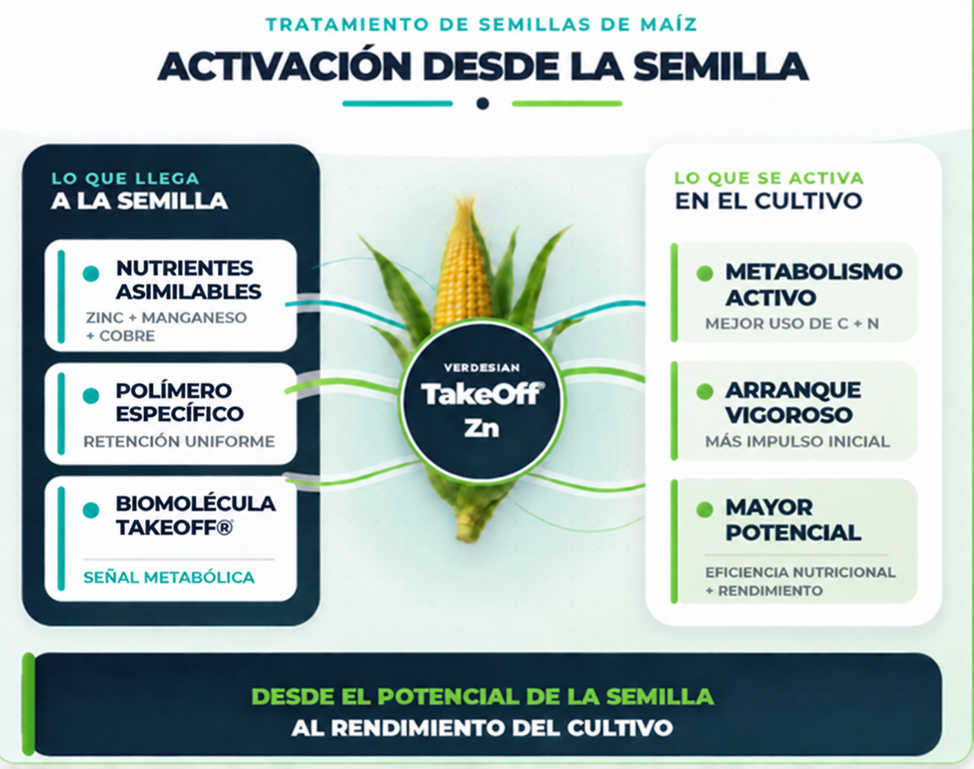 Concepto de nutrición, disponibilidad y bioestimulación de Verdesian Take Off Zn