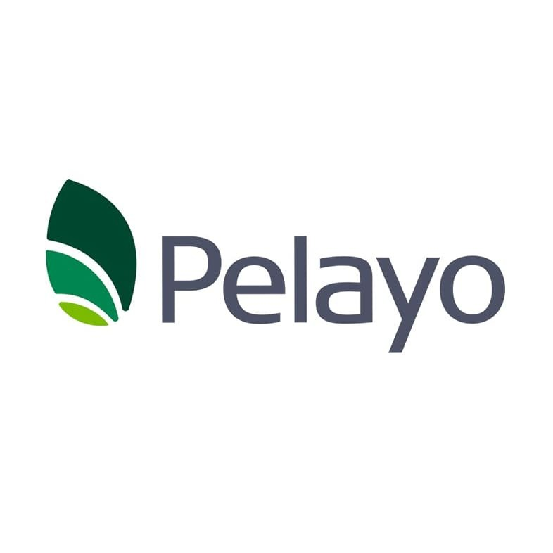 PELAYO AGRONOMIA SA